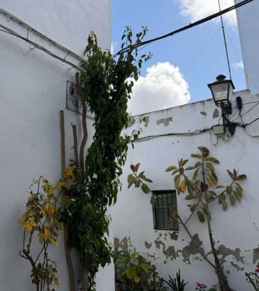 La Casita del Centro Conil