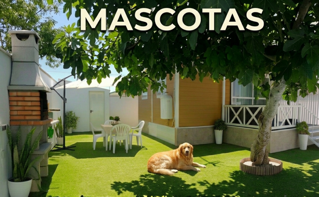 casas mascotas2