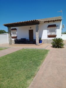 Alnoha1 Conil