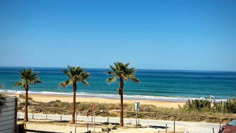 Casa diente de León El Palmar